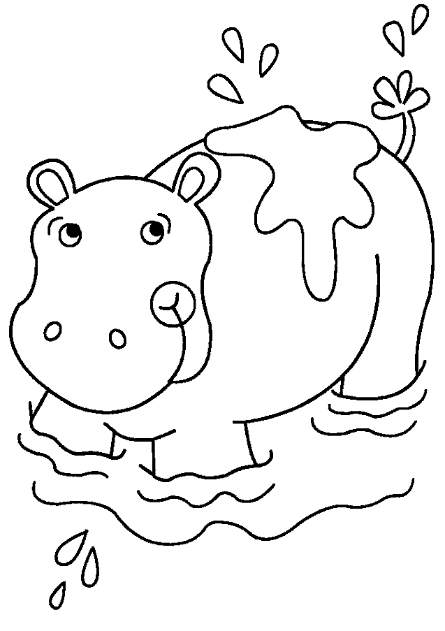 Hipopotam kolorowanki
